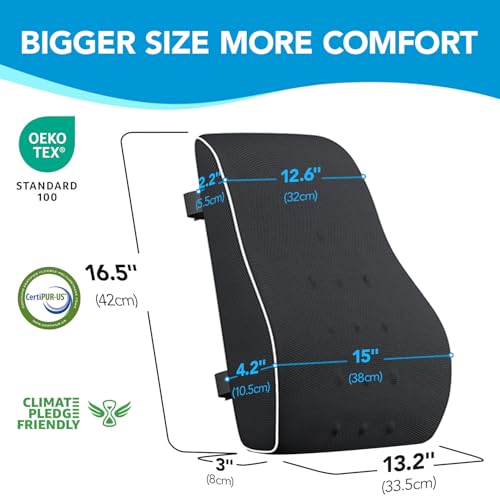 Lumbar Support Pillow for Office Chair, Office Home Essentials,Gifts for Mom,Dad, Back Support Pillow for Car, Chair Cushions,Back Pain Relief Improve Posture,Mesh Cover Double Adjustable Straps